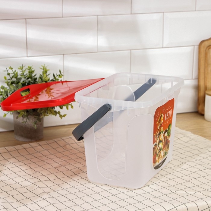 Контейнер для шашлыка c ручкой &laquo;Leto&raquo;, 6 л, пластик, прозрачный, крышка красная