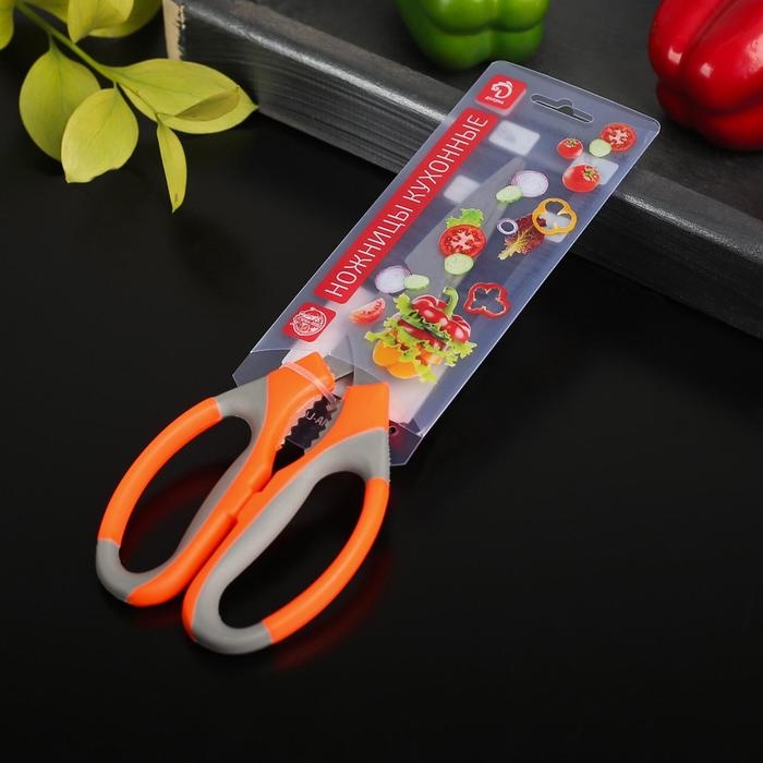 Ножницы кухонные Доляна &laquo;Драйв&raquo;, 22 см, с открывалкой для бутылки, цвет МИКС