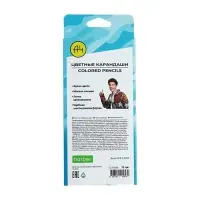 Карандаши цветные, 12 цветов &laquo;Влад А4&raquo;, в картонной коробке с европодвесом