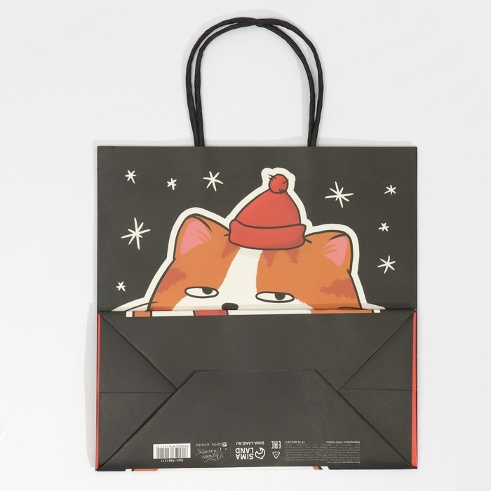 Пакет подарочный новогодний &laquo;Счастье&raquo;, 22 х 22 х 11 см