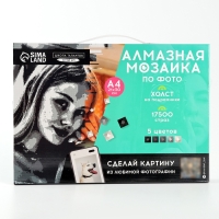 Алмазная мозаика по фото с полным заполнением &laquo;Gray&raquo;, на холсте с подрамником, А4