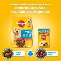 Влажный корм Pedigree для собак, говядина в соусе, пауч, 85 г