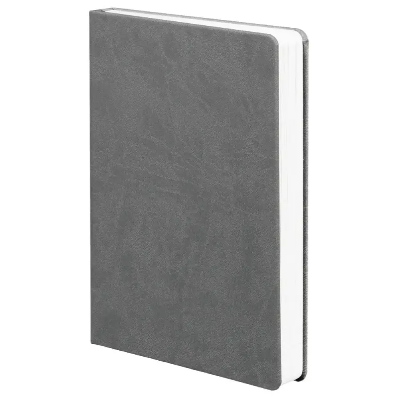 Ежедневник Basis, датированный, темно-серый