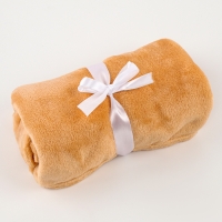 Набор подарочный: Комфортер 27 см + плед 71х125 см, &laquo;Жираф&raquo;