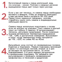 Семена Перец "Ласточка", 0,2 г