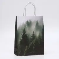 Пакет подарочный крафтовый &laquo;Туманный лес&raquo; 18&times;8&times;25 см, 120 г/м&sup2;