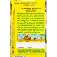 Семена цветов Космея Сансет еллоу , Ц/П,0,3 г