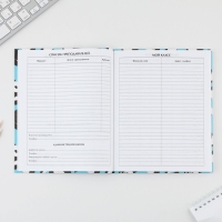 Дневник школьный 5-11 класс &laquo;Панды&raquo;, твердая обложка 7БЦ, глянцевая ламинация, 48 листов