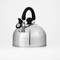 Чайник со свистком из нержавеющей стали Доляна &laquo;Чёрная ночь&raquo;, 3 л, фиксированная ручка, цвет хромированный