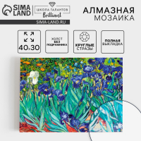 Алмазная мозаика с полным заполнением на холсте &laquo;Ирисы&raquo;, 30 х 40 см