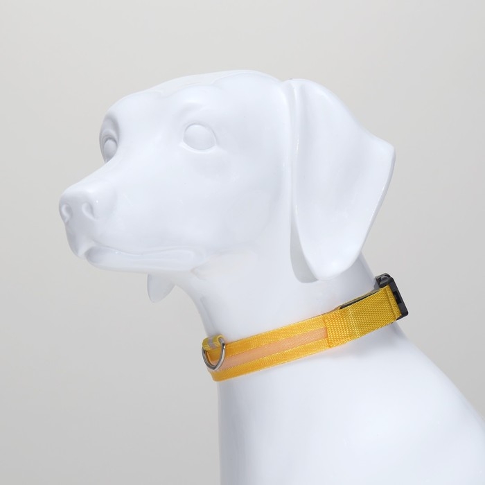 Ошейник с подсветкой размер L, ОШ 45-52 х 2,5 см 3 режима свечения жёлтый