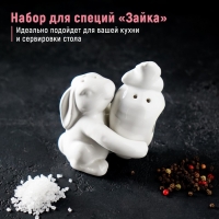 Набор для специй Доляна &laquo;Зайка&raquo;, 2 предмета: солонка 50 мл, перечница 40 мл, цвет белый