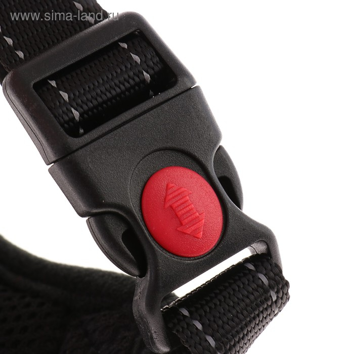 Шлейка К7 мягкая светоотражающая, размер М, ОГ 52-66 см, вес 9,5-17,5 кг, фиолетовая