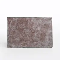 Обложка для паспорта, цвет МИКС