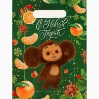 Подарочные пакеты, полиэтилен, набор 10 шт &laquo;Новый год&raquo;