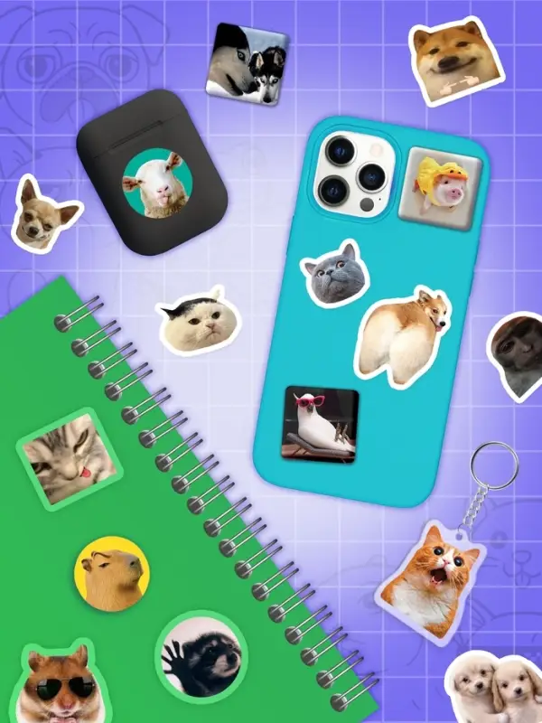 Книжное комплектное издание "Мемный набор" + вложение (ролик, 3д стикеры, значки, брелок)