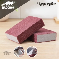 Губки для посуды Raccoon &laquo;Чудо-губка&raquo;, 2 шт, чистящие,10,5&times;7&times;5 см