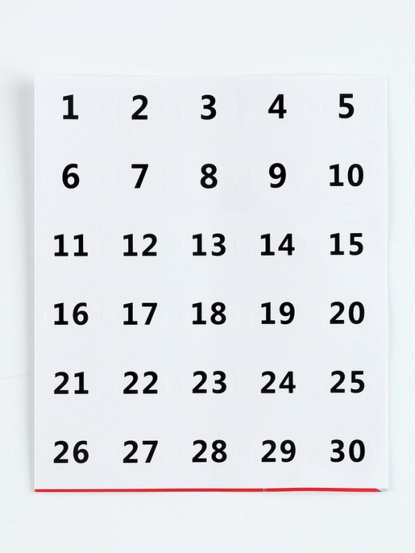 Алмазная мозаика с полным заполнением на холсте &laquo;Тропические птицы&raquo;, 40 х 50 см