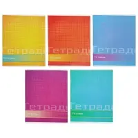 Тетрадь 48 листов в линейку Calligrata &laquo;Цвет и графика&raquo;, обложка мелованная бумага, блок №2, белизна 75% (серые листы), МИКС