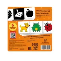 Набор картонных книжек-гармошек "Смотрим вместе", 6 шт.