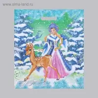 Пакет &laquo;Дед Мороз и Снегурочка&raquo;, полиэтиленовый с вырубной ручкой, 41&times;51 см