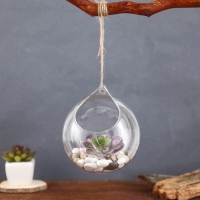 Флорариум "Шар капля" с верёвкой, 12х12х13 см