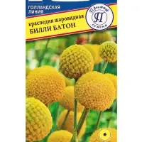 Семена цветов Краспедия шаровидная "Билли Батон", 10 шт