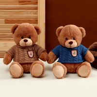 Мягкая игрушка &laquo;Медведь&raquo; в свитере, 25 см, цвет МИКС