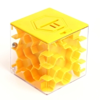 Головоломка лабиринт с шариком &laquo;Терпение и труд&raquo;, МИКС, в шоубоксе