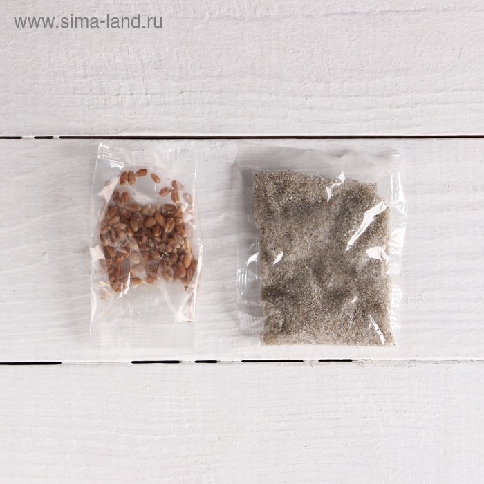 Набор для выращивания "Пшеничка из яичка"