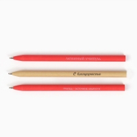 Ручка шариковая эко &laquo;Дорогому учителю&raquo;, 3 шт, синяя паста 1.0 мм