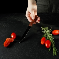 Нож кухонный Доляна &laquo;Эльбрус&raquo;, зубчатое лезвие 11,5 см