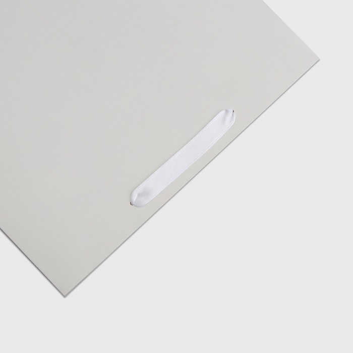 Пакет ламинированный горизонтальный &laquo;Белый&raquo;, L 40 &times; 31 &times; 14 см