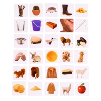 Развивающий набор &laquo;Тактильная библиотека&raquo;, 3+