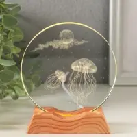 Сувенир стекло свет "Диск. Медузы" 5хLED d=10 см, USB 10х4х11,4 см