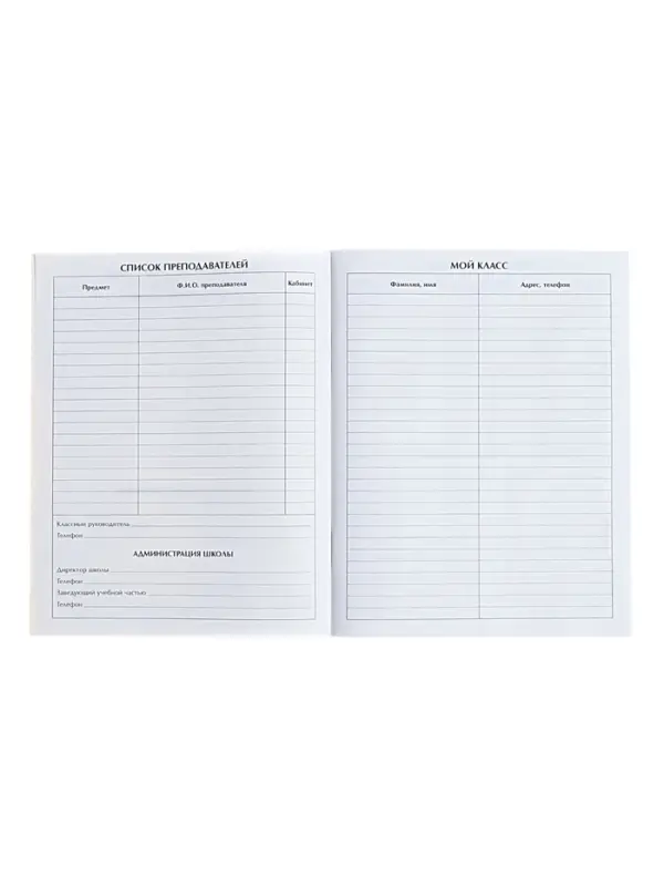 Дневник школьный для 1-11 классов, &laquo;Кеды&raquo;, мягкая обложка, 40 листов