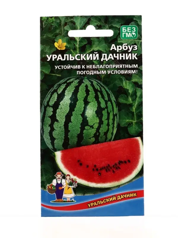 Семена Арбуз Уральский дачник (УД) Е/П , Е/П,  10 шт.