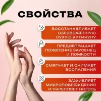 Масло для увлажнения и питания кутикулы 5 мл, экстракт монарды