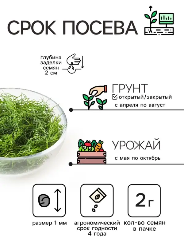 Семена Укроп &laquo;Супердукат ОЕ&raquo;, 2 г