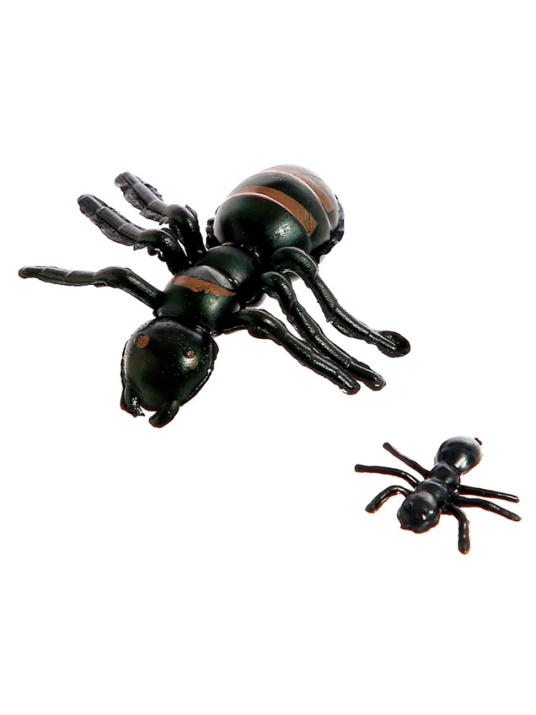 Набор насекомых &laquo;Муравьи&raquo;