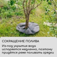 Круг приствольный, d = 0,6 м, плотность 60 г/м&sup2;, спанбонд с УФ-стабилизатором, набор 5 шт., чёрный, Greengo, Эконом 20%