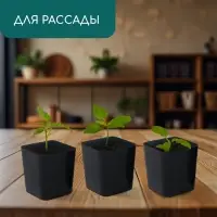 Горшок для рассады, 500 мл, d=8.5 см, h=10 см, пластик, чёрный, Greengo