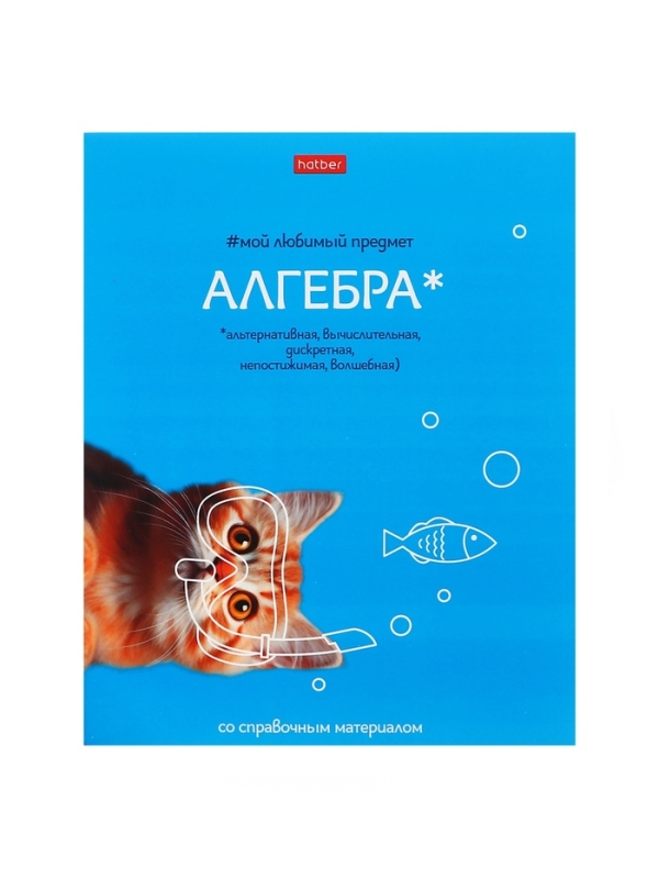 Тетрадь 48 листов в клетку &laquo;Мой любимый предмет&raquo; АЛГЕБРА, обложка мелованный картон, Soft-touch, с интерактивным справочником, блок офсет