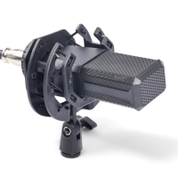 Микрофон конденсаторный Music Life LGT240: стойка + кабель в комплекте