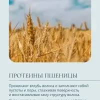 Шампунь для очищения волос малыша Baby Balance нежный, 250 мл ﻿