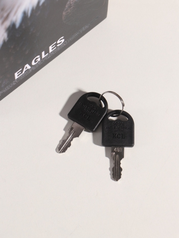 Сейф-книга дерево кожзам "Птицы. Орёл" 21х13х5 см