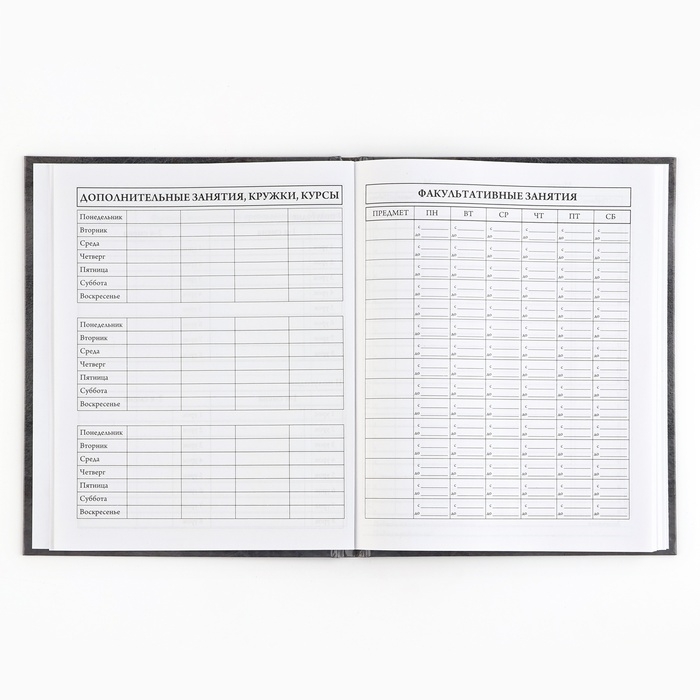 Дневник школьный 5-11 класс, в твердой обложке, 48 л. &laquo;Россия&raquo;