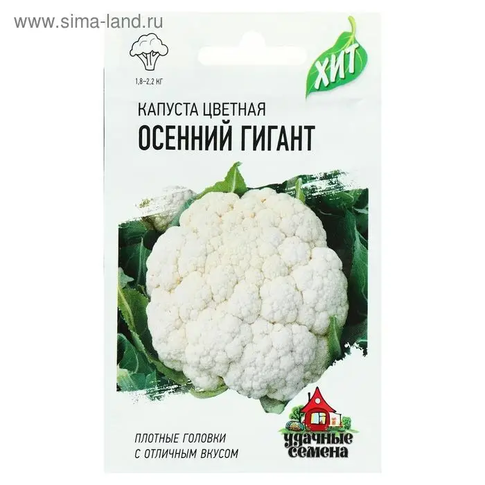 Семена Капуста цветная "Осенний гигант", ц/п, 0,1 г серия ХИТ х3