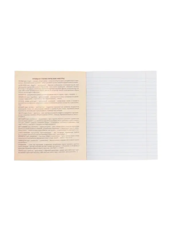 Тетрадь предметная 48 листов в линейку Calligrata, &laquo;Футбол. Литература&raquo;, обложка мелованный картон