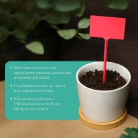 Таблички садовые для маркировки, 34 см, набор 10 шт., пластик, цвет МИКС, Greengo